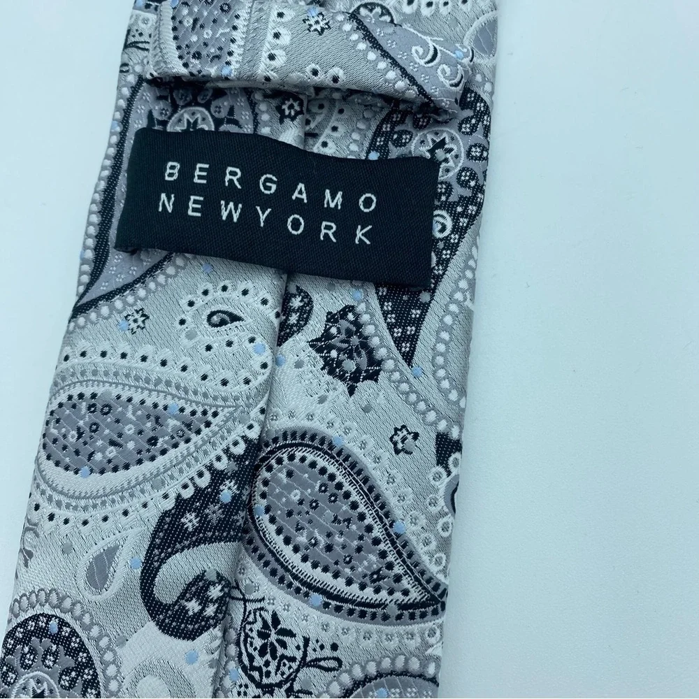 Bergamo Men’s Tie Gray‎ Silver & Paisley